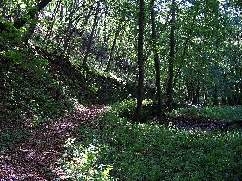Vůznice