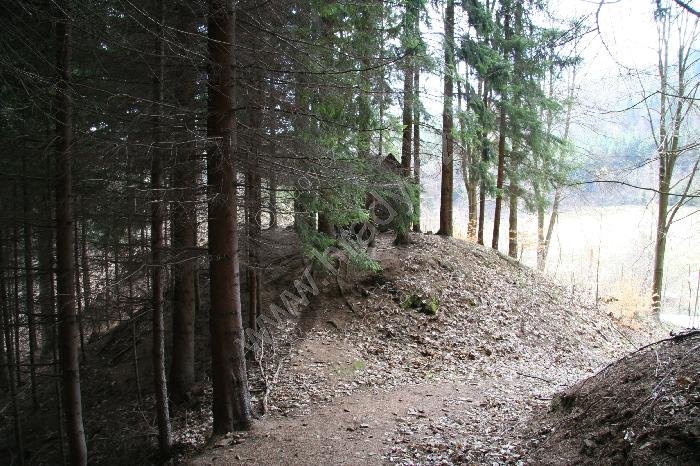 Výprachtice