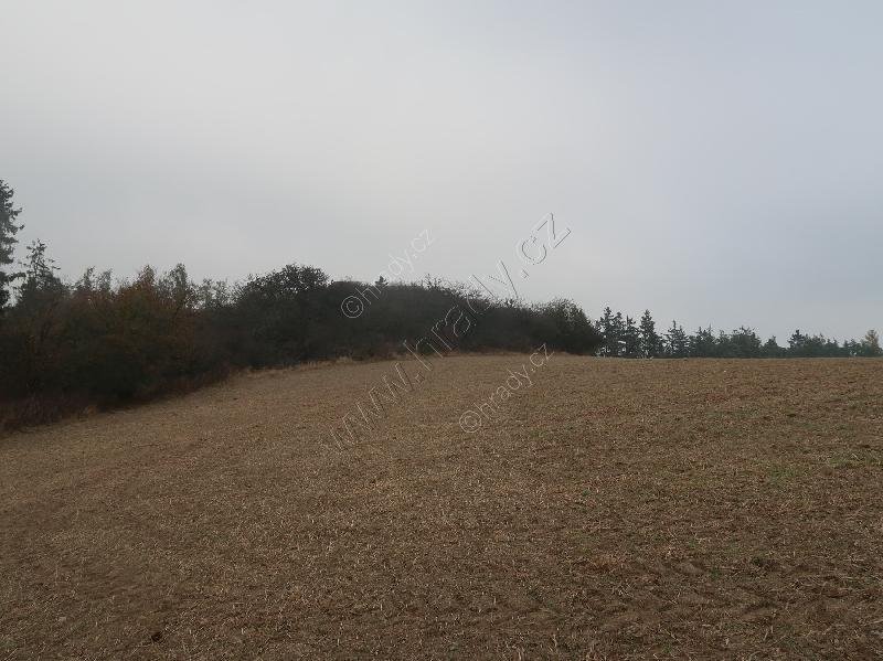 Vyšohrad