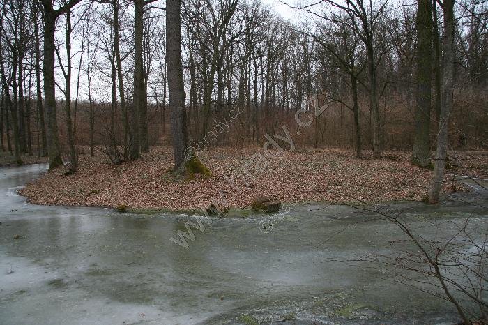 Vysoká