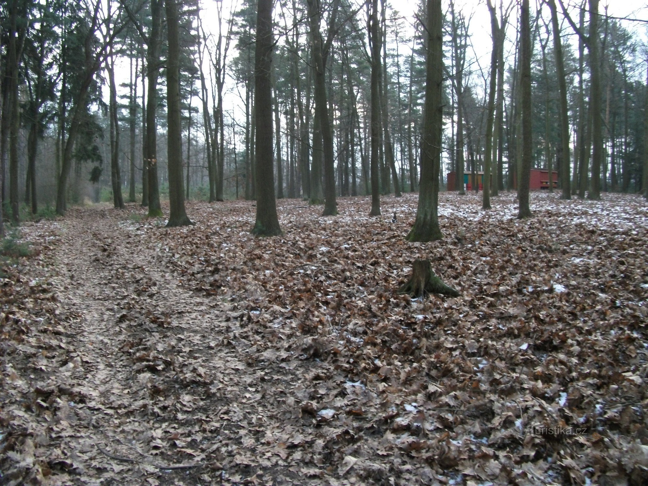 Vyvýšenina v minulosti tvořící rozsáhlý poloostrov