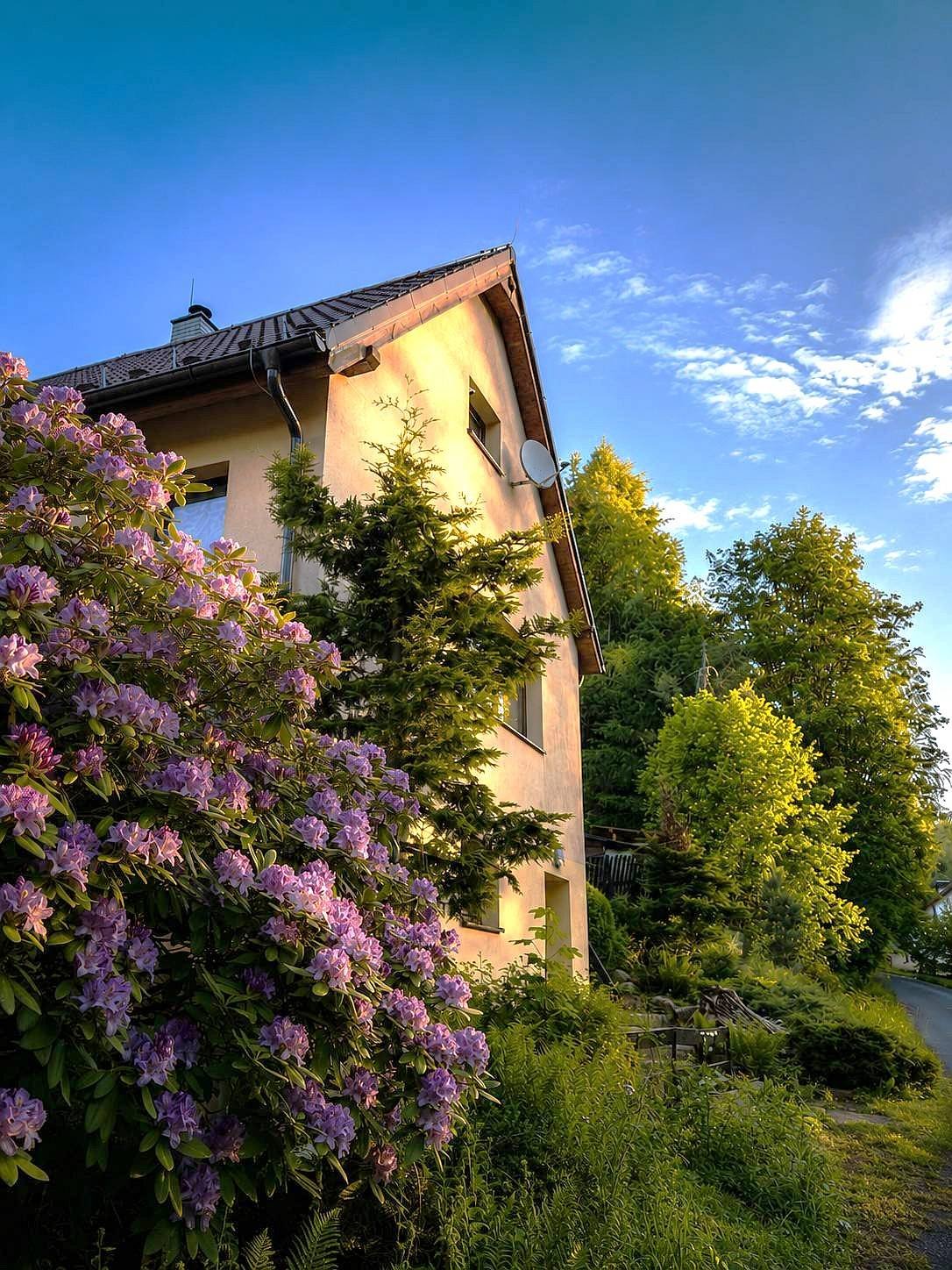 Wellspace Forest Retreat