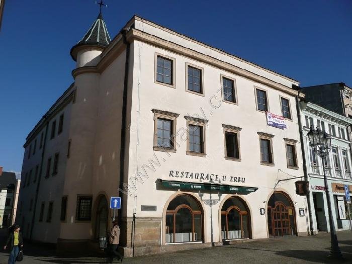 Wolfínský palác