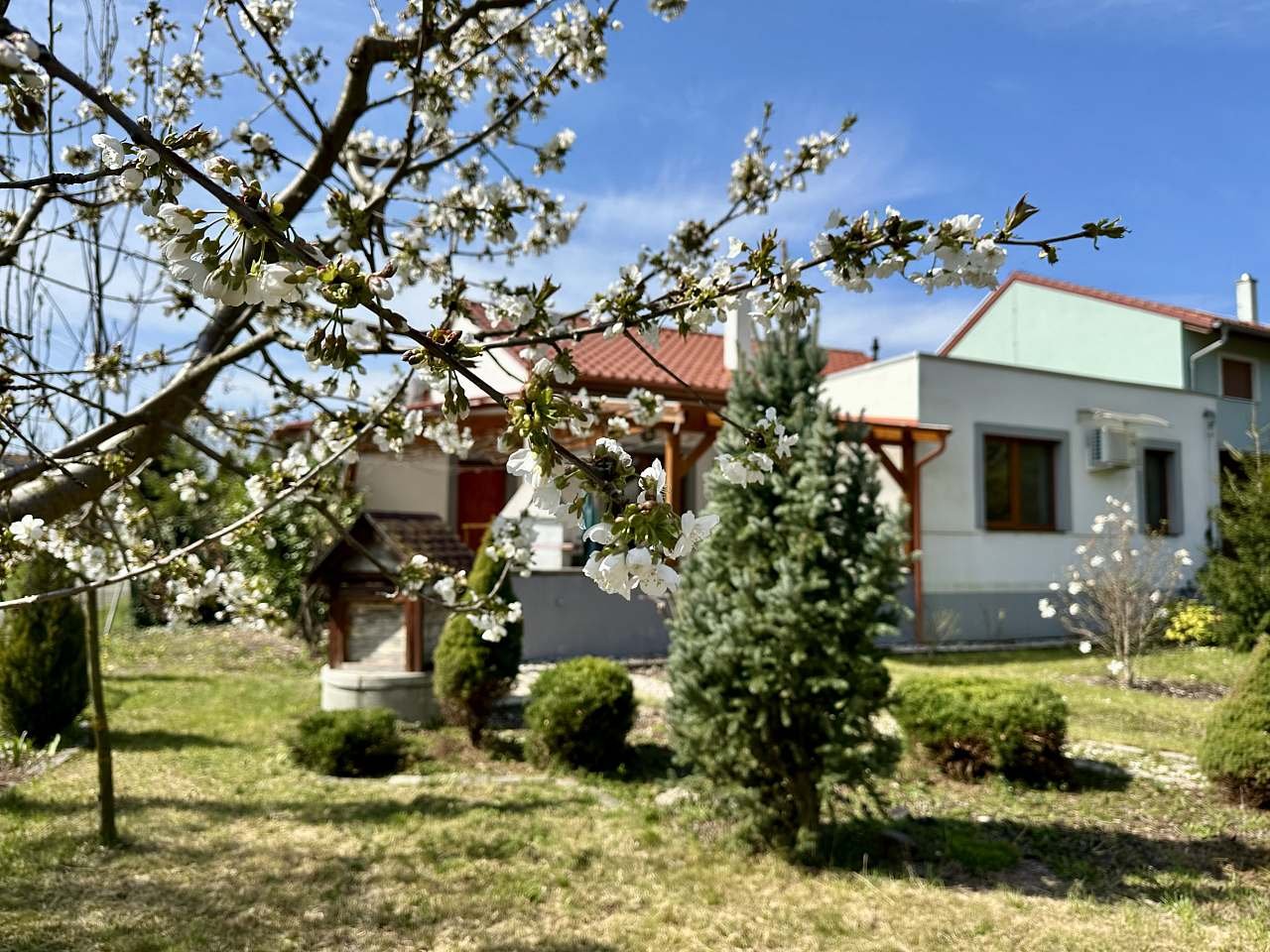 zahrada
