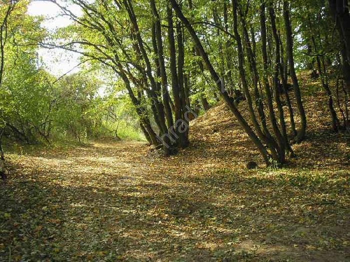 Zákřov