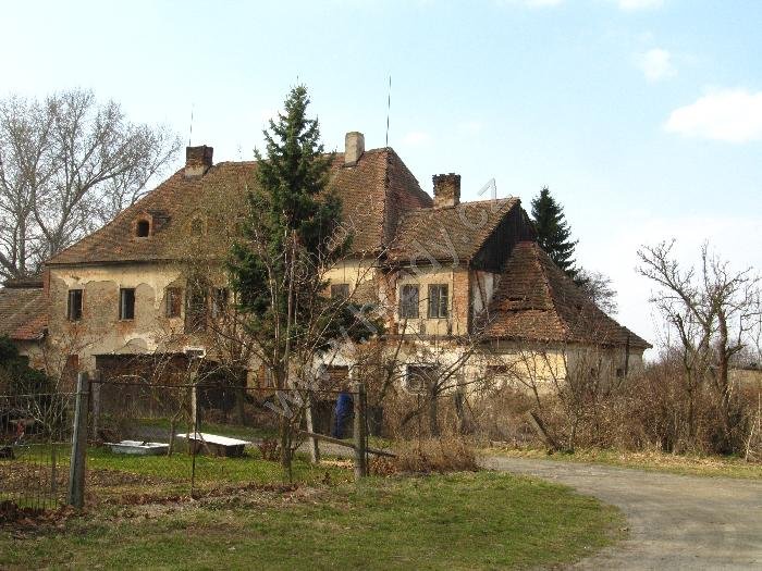 Žáky