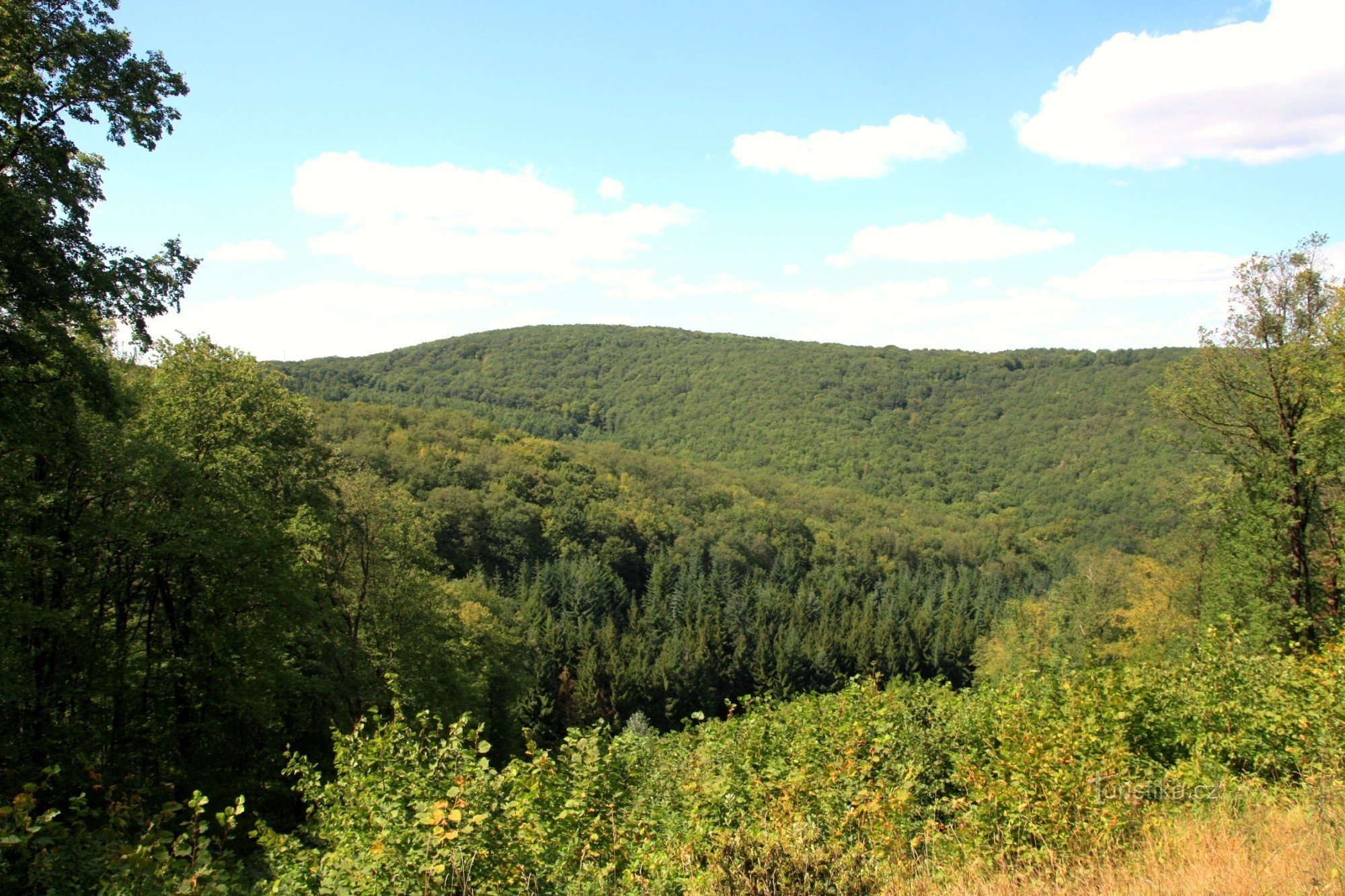 Zalesněný vrchol Předního koutu