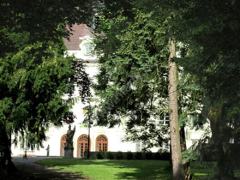 Zalužany