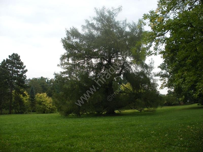 zámecký park