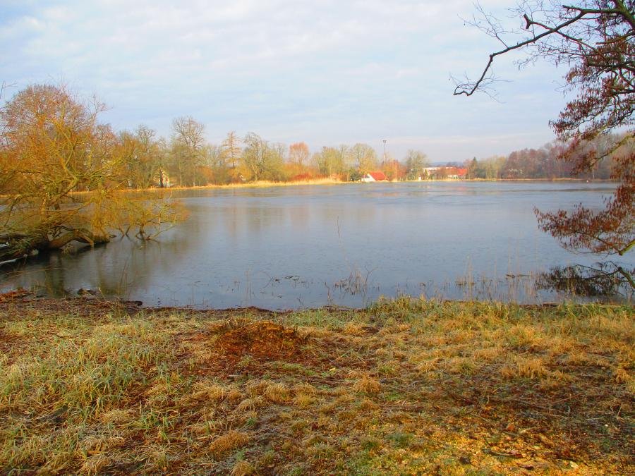 Zámecký rybník