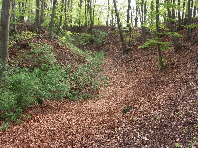 Žáravice