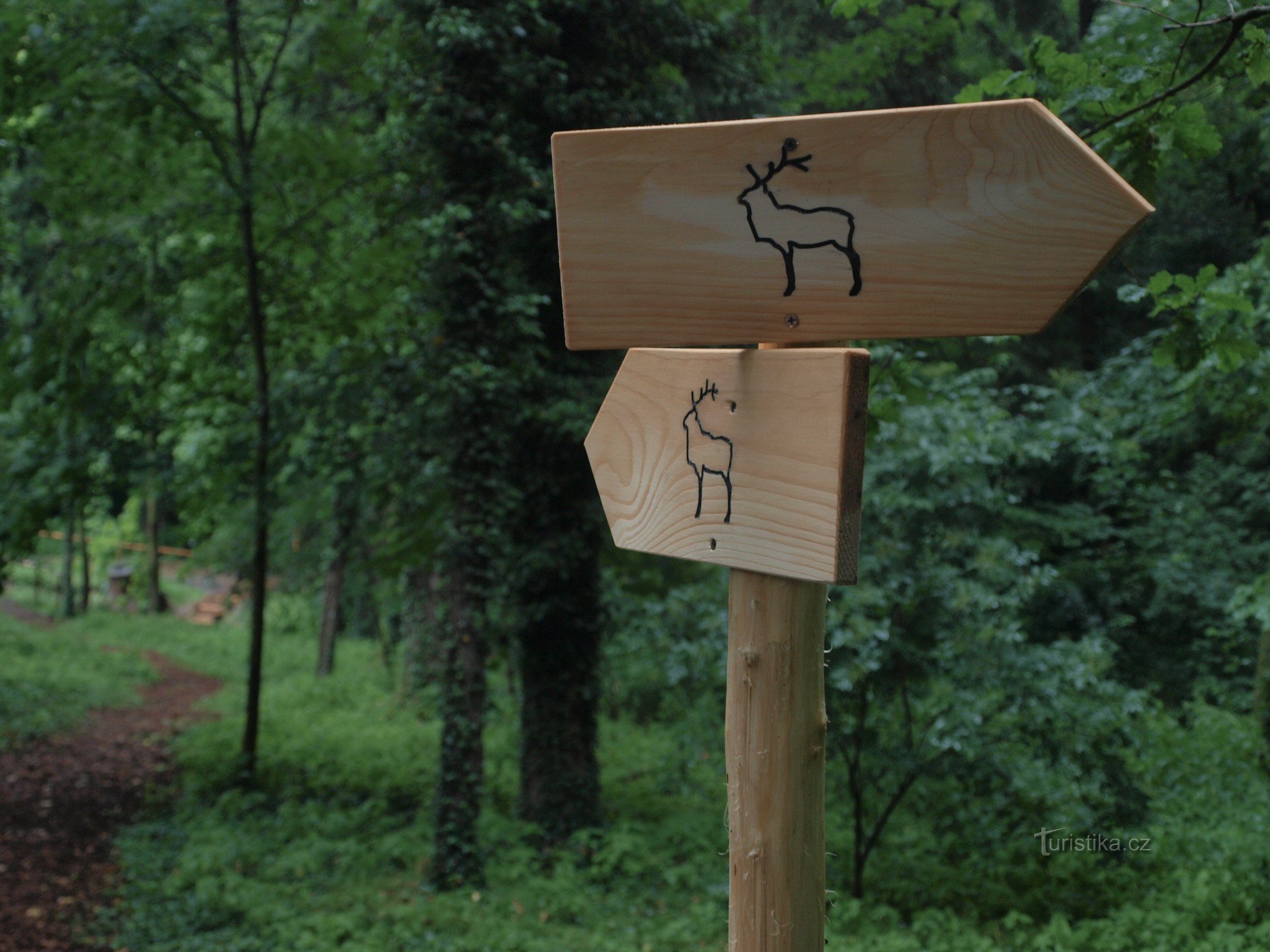 Zásmucká Bažantnice