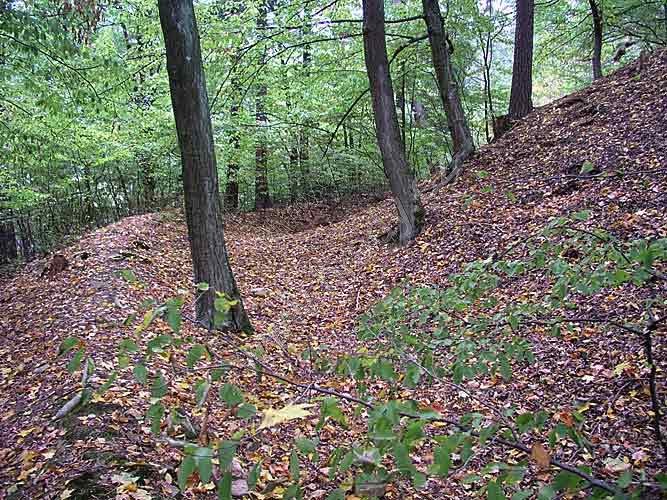 Zbraslav