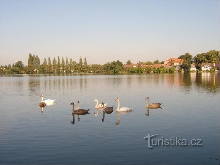 Ze západu: pohled na východní břeh