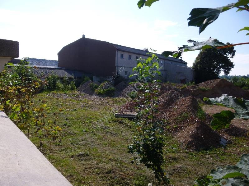 Želeč
