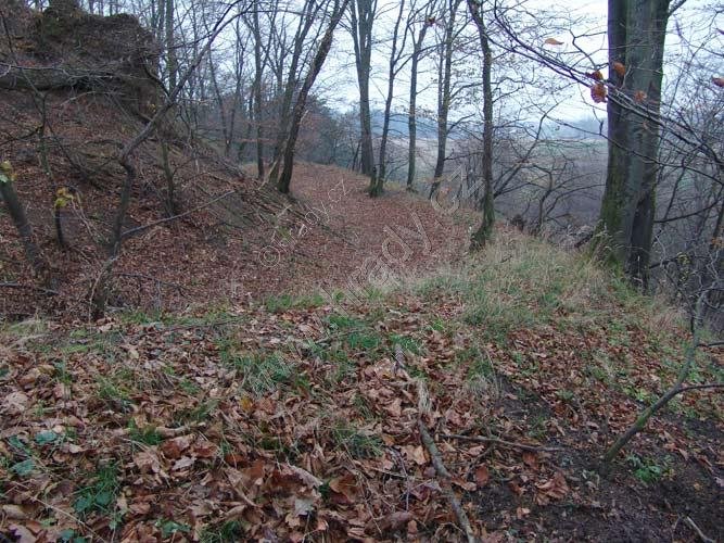 Žeranovice