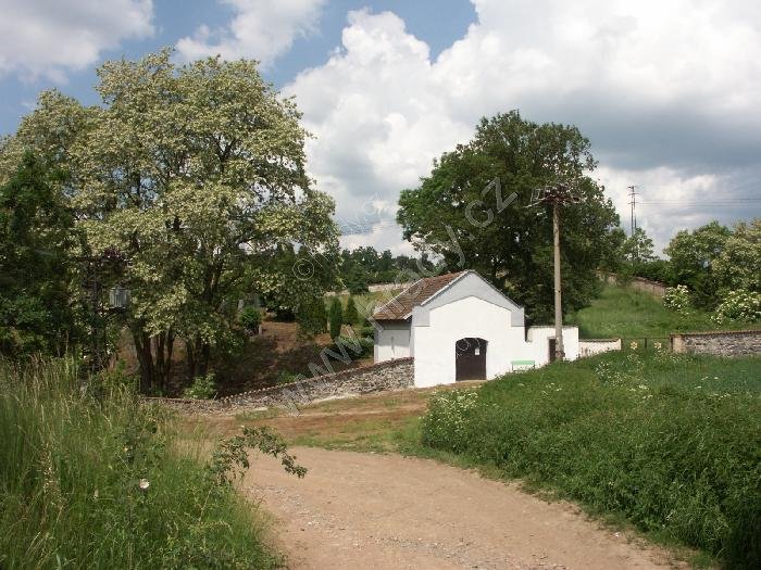 židovský hřbitov