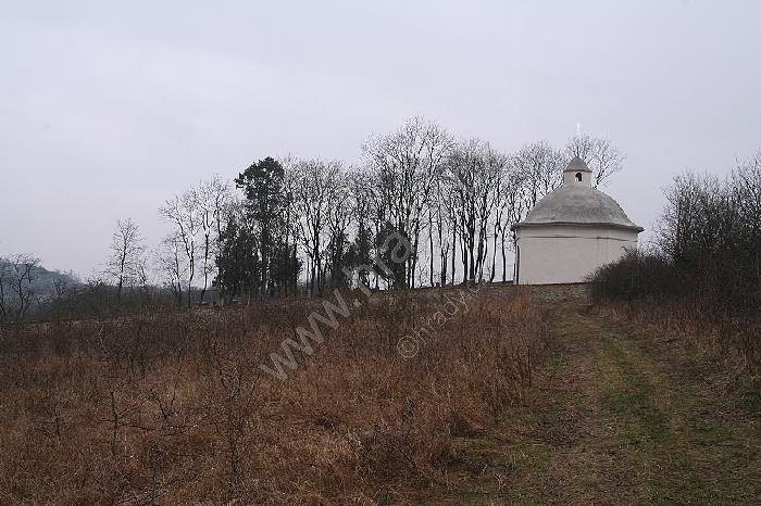 židovský hřbitov