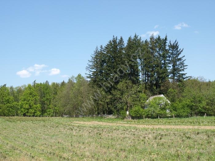 židovský hřbitov