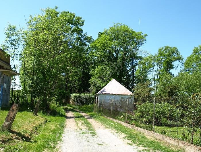 židovský hřbitov