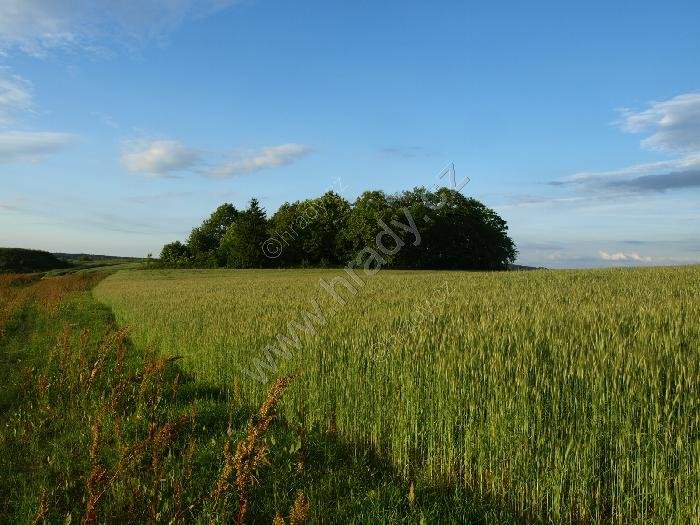 židovský hřbitov