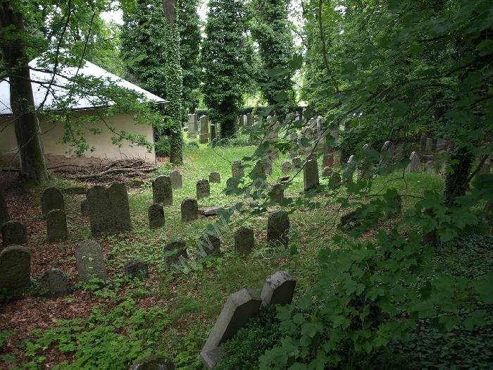 židovský hřbitov