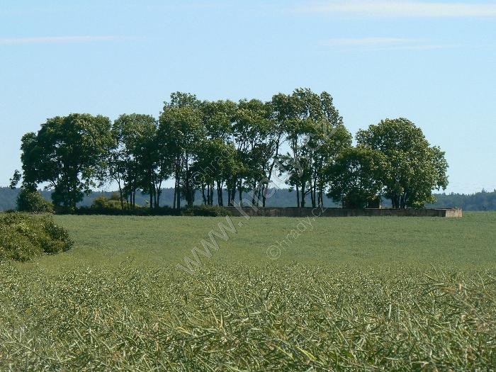 židovský hřbitov