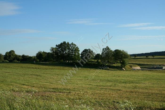 židovský hřbitov