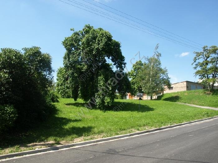 židovský hřbitov