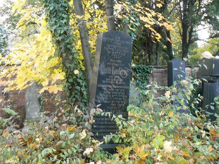 židovský hřbitov