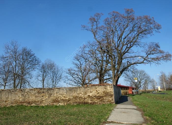 židovský hřbitov