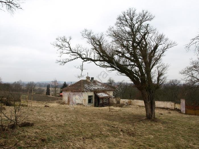 židovský hřbitov