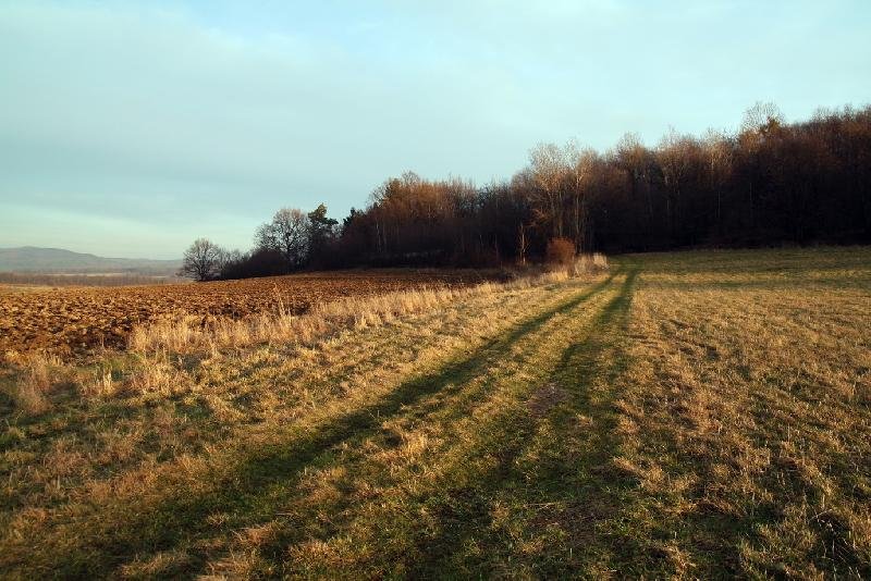 židovský hřbitov