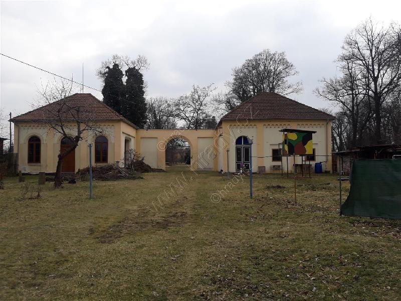 židovský hřbitov