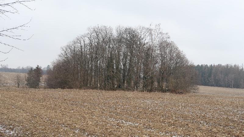 židovský hřbitov
