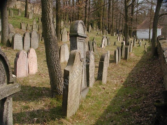 židovský hřbitov