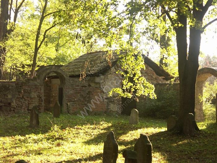 židovský hřbitov