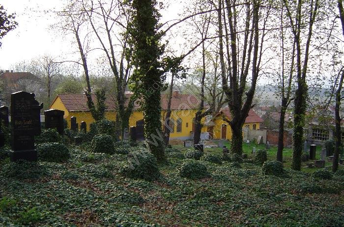 židovský hřbitov