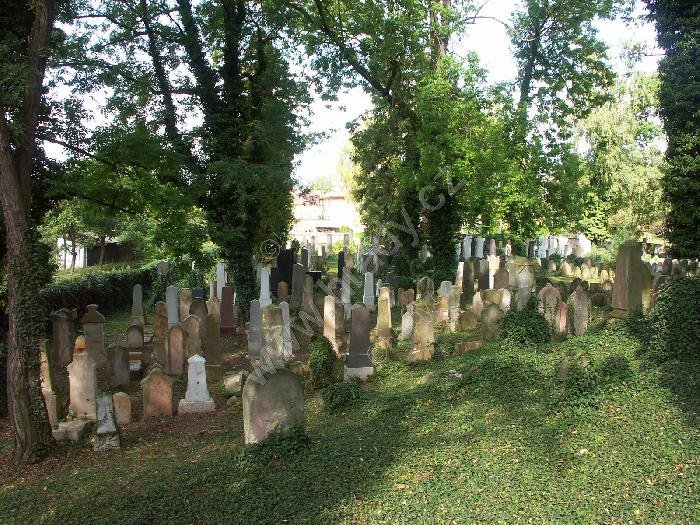 židovský hřbitov