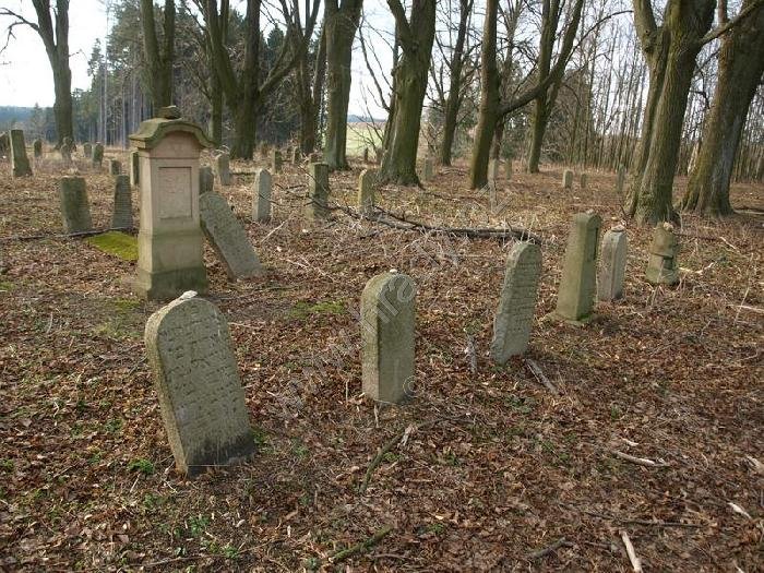 židovský tyfový hřbitov