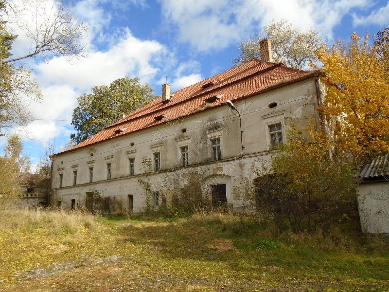 Žikov