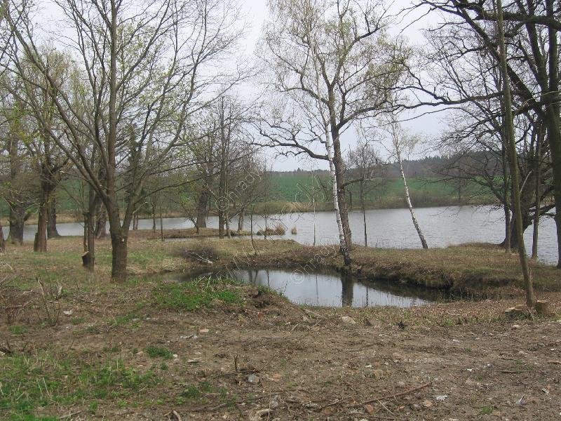 Žimutice