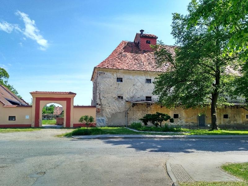 Žimutice