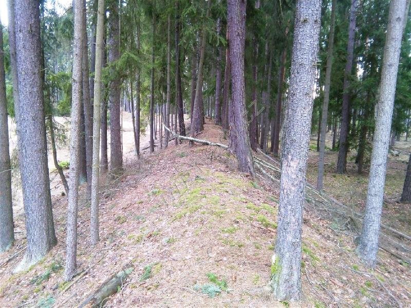 Žižkovo bojiště