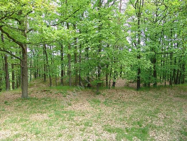 Zňátky