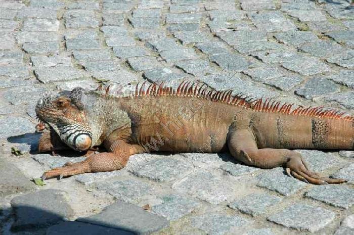 ZOO Chleby
