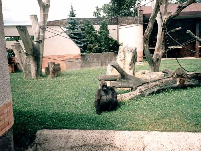 ZOO Dvůr Králové nad Labem