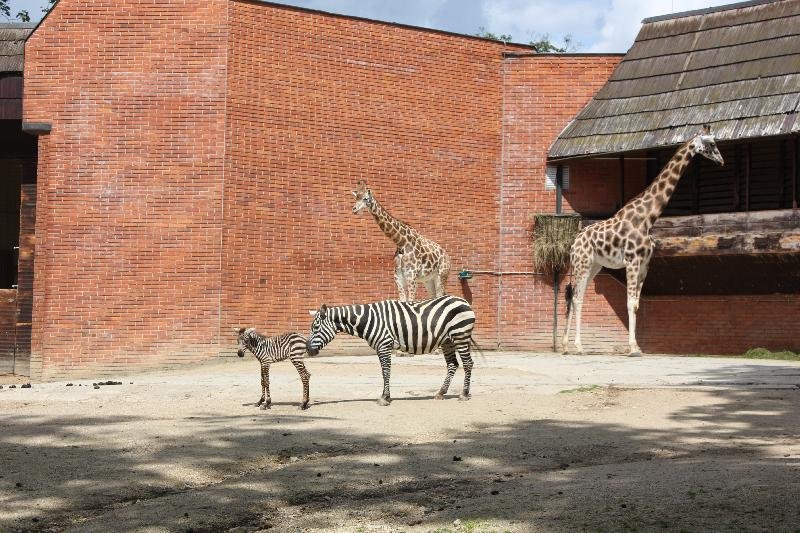 ZOO Liberec