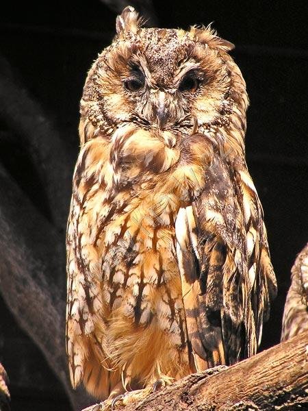 ZOO Olomouc