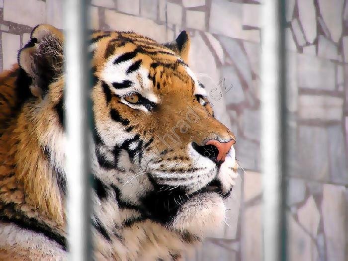 ZOO Ostrava